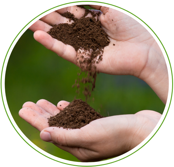 De la terre dans la main : améliorer la vie du sol